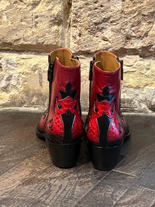 TIAGS RED PYTHON